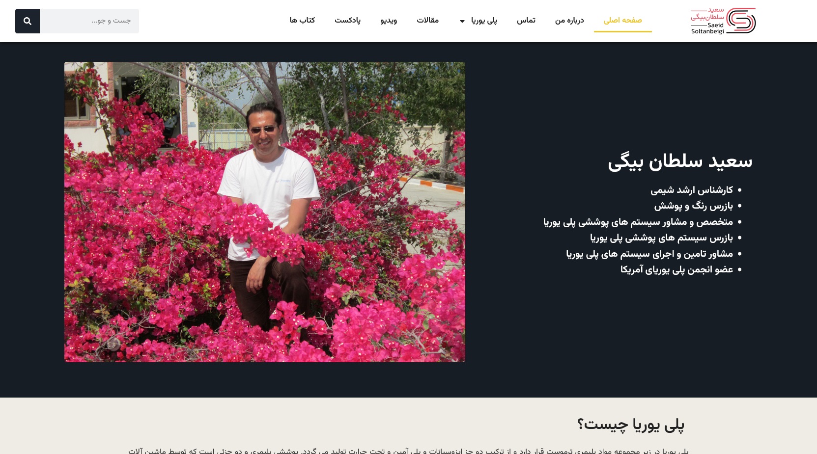 مهندس سعید سلطان بیگی